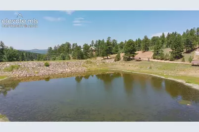 719 Spring Valley Lane, Florissant, CO 80816 - Photo 19