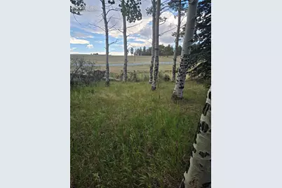 199 Joshua Road, Divide, CO 80814 - Photo 1