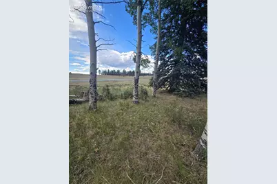 199 Joshua Road, Divide, CO 80814 - Photo 3