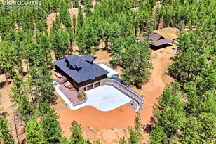 584 Pikes Peak Dr, Divide, CO 80814 - Photo 29
