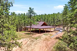 584 Pikes Peak Dr, Divide, CO 80814 - Photo 27