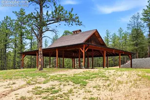 584 Pikes Peak Dr, Divide, CO 80814 - Photo 43