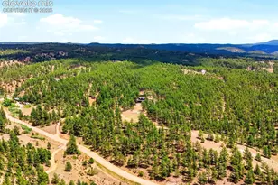 584 Pikes Peak Dr, Divide, CO 80814 - Photo 31