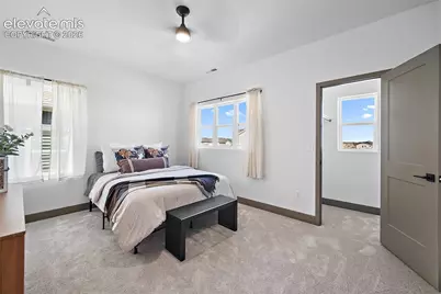 8860 Frolic View, Colorado Springs, CO 80924 - Photo 17