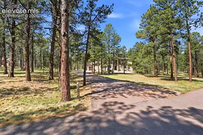 10916 Silver Mountain Point, Colorado Springs, CO 80908 - Photo 3