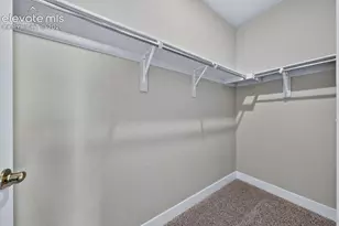 11834 Mission Peak Pl, Colorado Springs, CO 80925 - Photo 33