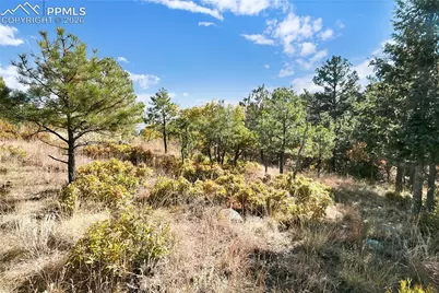 4688 Stone Manor Heights, Colorado Springs, CO 80906 - Photo 15