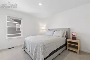 16149 Alpine Sorrel Dr, Monument, CO 80132 - Photo 25