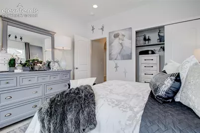 6782 Chelsea Thicket Court, Colorado Springs, CO 80921 - Photo 5