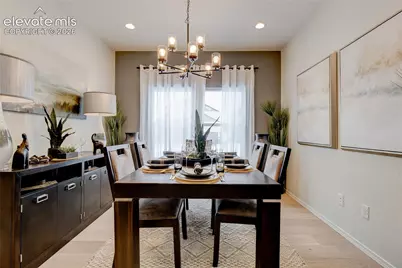 6782 Chelsea Thicket Court, Colorado Springs, CO 80921 - Photo 9