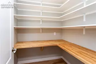 10154 Silver Leaf Way, Colorado Springs, CO 80921 - Photo 19