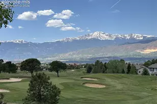 10154 Silver Leaf Way, Colorado Springs, CO 80921 - Photo 41