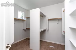 10154 Silver Leaf Way, Colorado Springs, CO 80921 - Photo 27