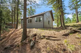 395 Ridge Rd, Divide, CO 80814 - Photo 19