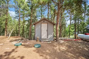 395 Ridge Rd, Divide, CO 80814 - Photo 21