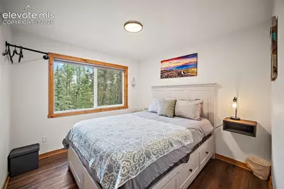 395 Ridge Road, Divide, CO 80814 - Photo 11
