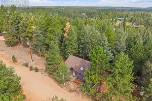 395 Ridge Rd, Divide, CO 80814 - Photo 23