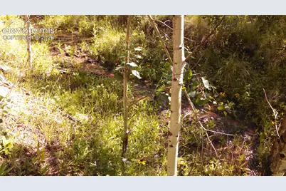 0 Unknown Na, Cripple Creek, CO 80813 - Photo 21