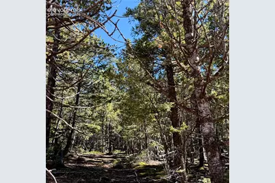 624 Witherite Drive, Divide, CO 80814 - Photo 7