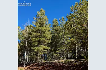 624 Witherite Drive, Divide, CO 80814 - Photo 9