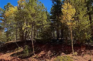 624 Witherite Dr, Divide, CO 80814 - Photo 1