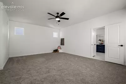 6717 Knapp Drive, Colorado Springs, CO 80924 - Photo 19