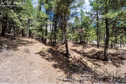 22555 County Road 49, Elbert, CO 80106 - Photo 9