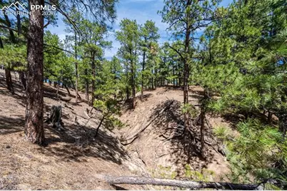 22555 County Road 49, Elbert, CO 80106 - Photo 27