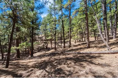 22555 County Road 49, Elbert, CO 80106 - Photo 11