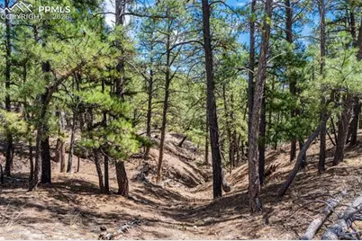 22555 County Road 49, Elbert, CO 80106 - Photo 23