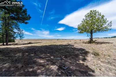 22555 County Road 49, Elbert, CO 80106 - Photo 15