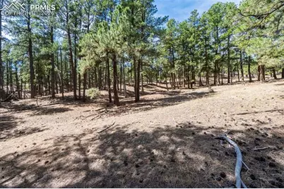 22555 County Road 49, Elbert, CO 80106 - Photo 29
