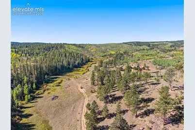 8567 County Road 3, Divide, CO 80814 - Photo 3