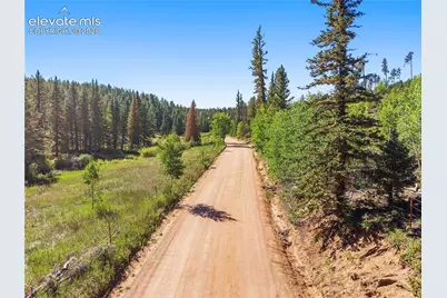 8567 County Road 3, Divide, CO 80814 - Photo 43