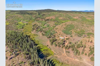 8567 County Road 3, Divide, CO 80814 - Photo 31
