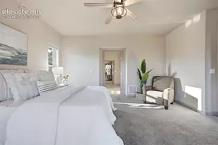 955 Locklin Way, Woodland Park, CO 80863 - Photo 21