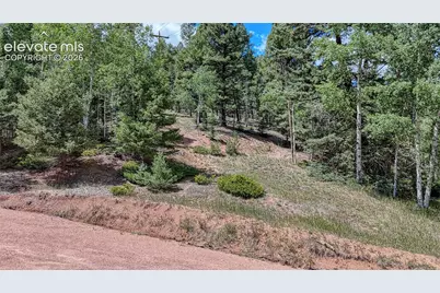 244 Spring Valley Lane, Florissant, CO 80816 - Photo 23