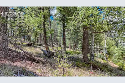 244 Spring Valley Lane, Florissant, CO 80816 - Photo 25