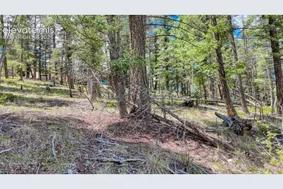 244 Spring Valley Lane, Florissant, CO 80816 - Photo 19