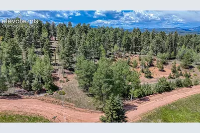244 Spring Valley Lane, Florissant, CO 80816 - Photo 5
