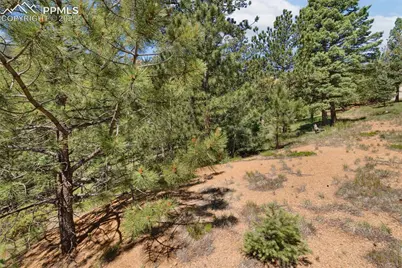 6050 Coffee Pot Road, Manitou Springs, CO 80829 - Photo 11