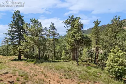 6050 Coffee Pot Road, Manitou Springs, CO 80829 - Photo 7