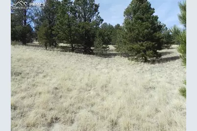 1058 Monarch Drive, Cripple Creek, CO 80813 - Photo 7