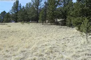 1058 Monarch Dr, Cripple Creek, CO 80813 - Photo 1