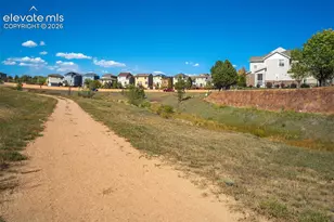7303 Sandy Springs Point, Fountain, CO 80817 - Photo 49
