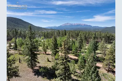 303 Ute Trail, Woodland Park, CO 80863 - Photo 3