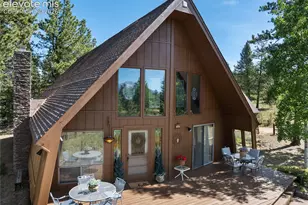 303 Ute Trail, Woodland Park, CO 80863 - Photo 3