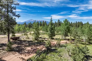 303 Ute Trail, Woodland Park, CO 80863 - Photo 7