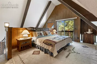 303 Ute Trail, Woodland Park, CO 80863 - Photo 23