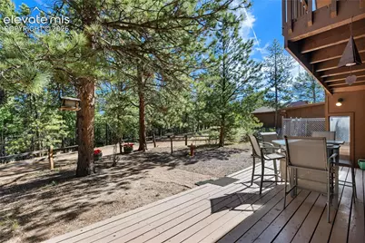 303 Ute Trail, Woodland Park, CO 80863 - Photo 9